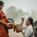 Grandma offers food to a novice in the meadow.